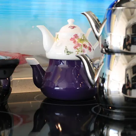 施迈尔公寓酒店 阿奇亚卡